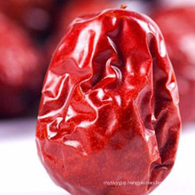 Dried red jujube fruit,dried red jujube dates jujube fruit/red dates
